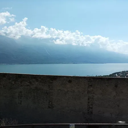 Fior Di Loto *