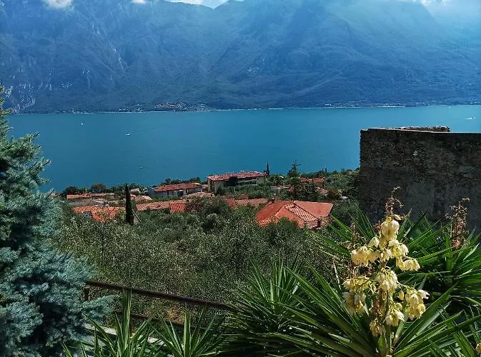 Fior Di Loto Limone sul Garda