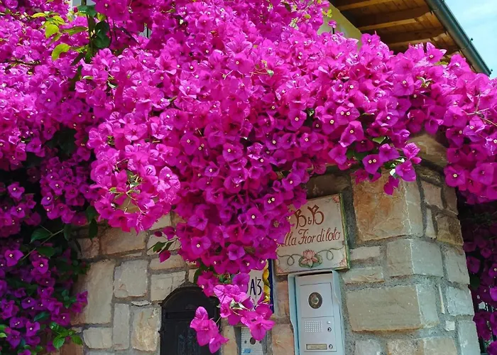 Βίλα Fior Di Loto