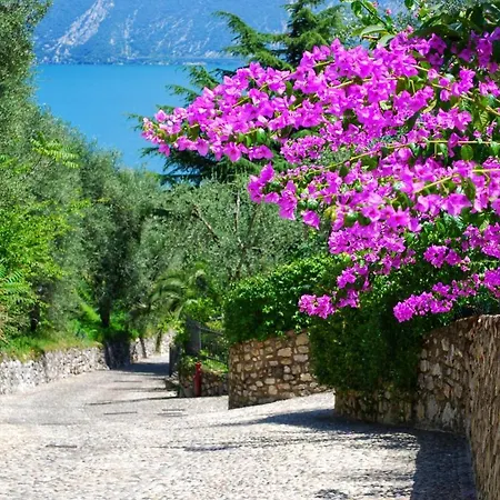 Villa Fior Di Loto *