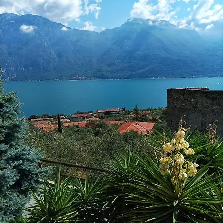 Fior Di Loto Limone sul Garda