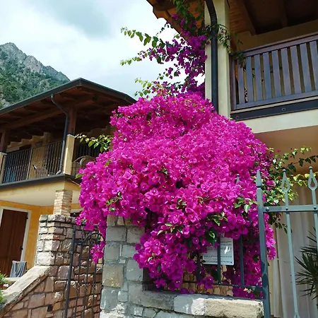 Fior Di Loto Villa *